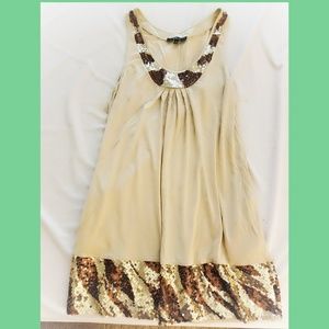 EXPRESS Dress